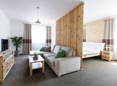 sections/October2018/gothal-sk-apartmany-v-nizkych-tatrach-family-apartman-obyvacia-miestnost-iii.jpg