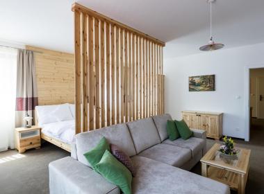 sections/October2018/gothal-sk-apartmany-v-nizkych-tatrach-family-apartman-obyvacka-so-spalnou-nTt.jpg